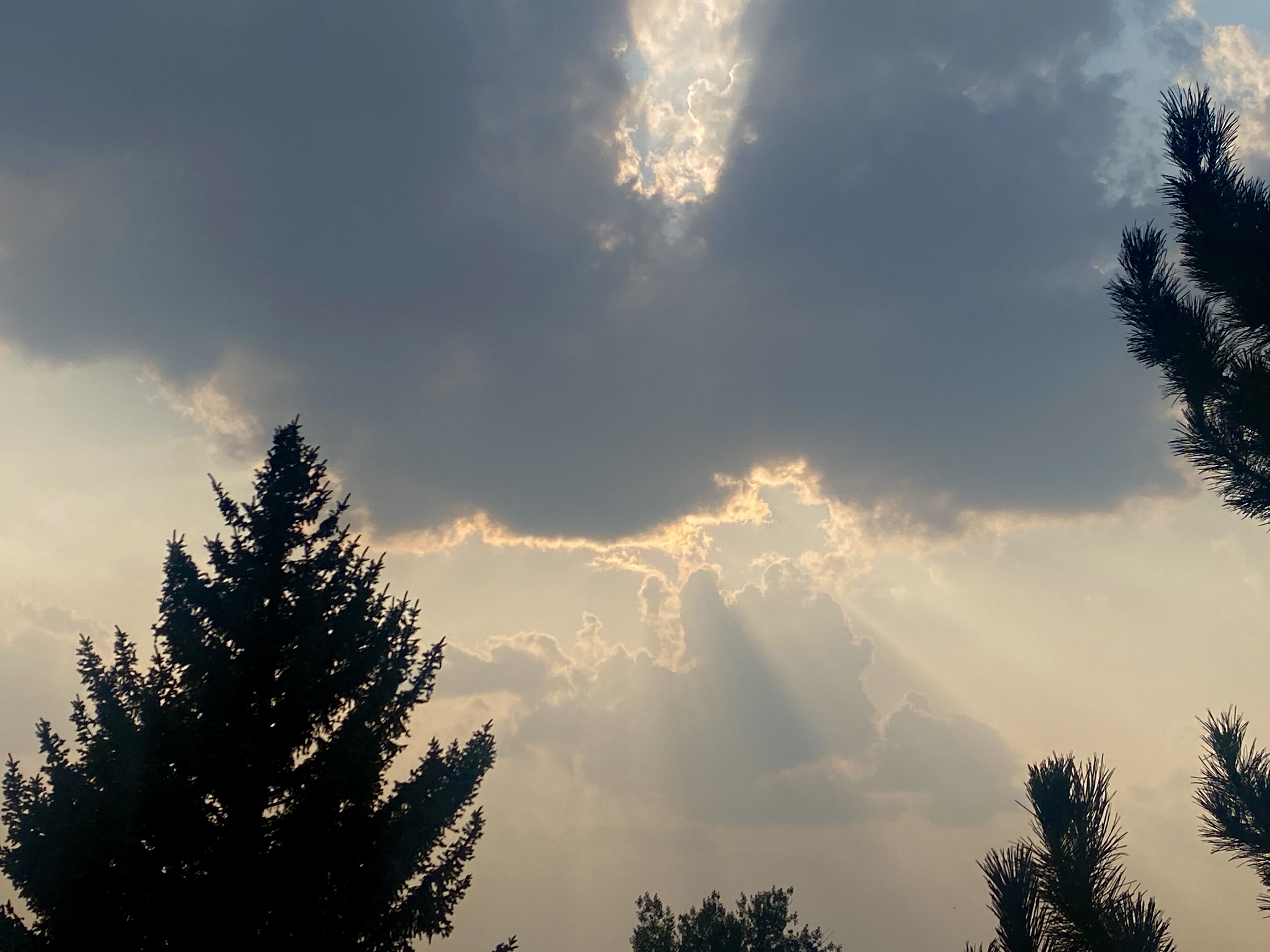 Parly Cloudy Sub