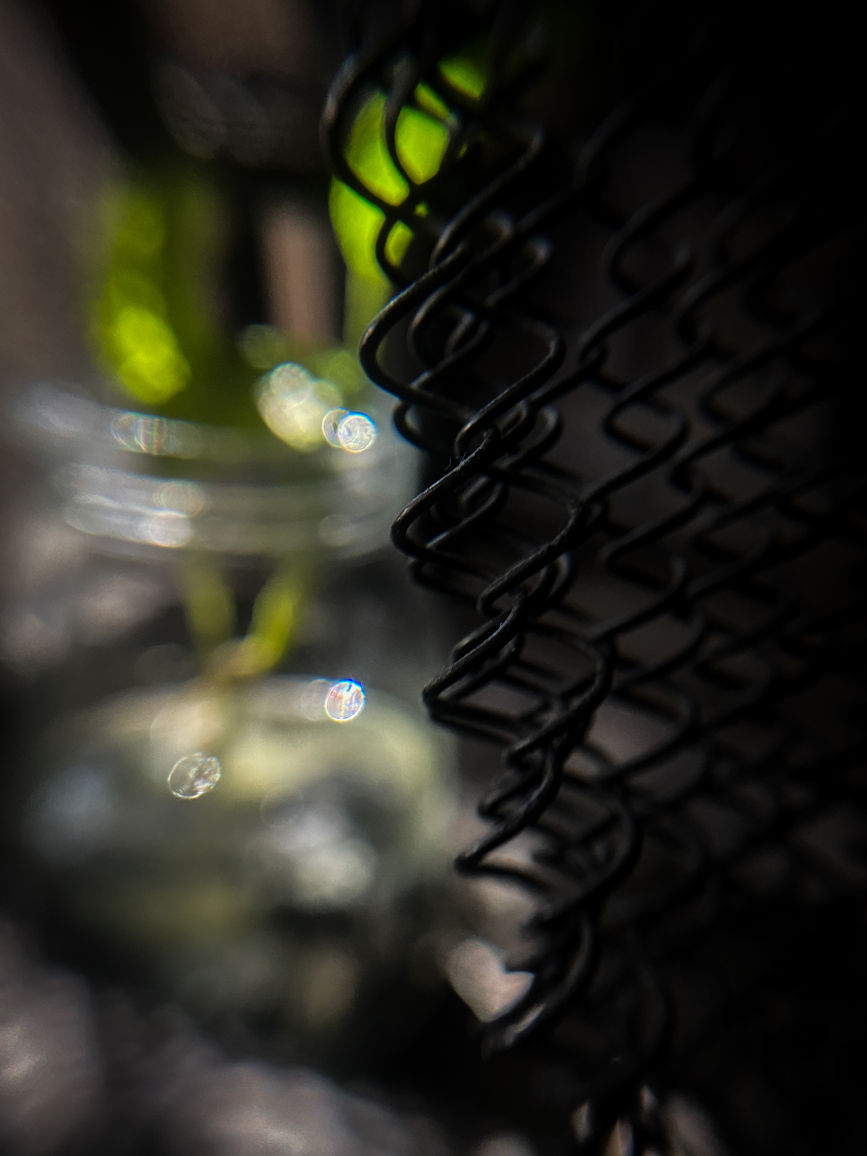 Caged