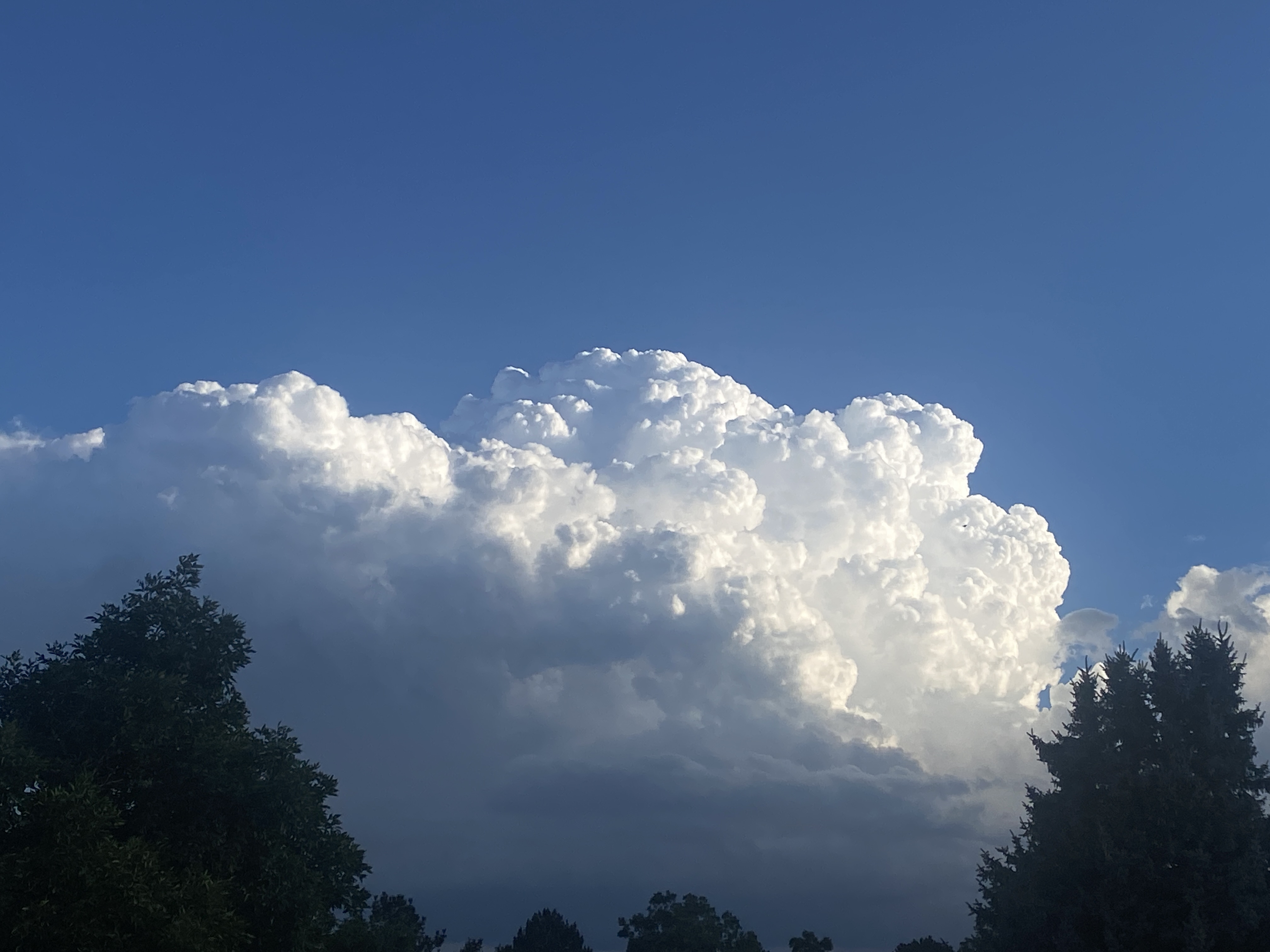 Partly Cloudy Sub